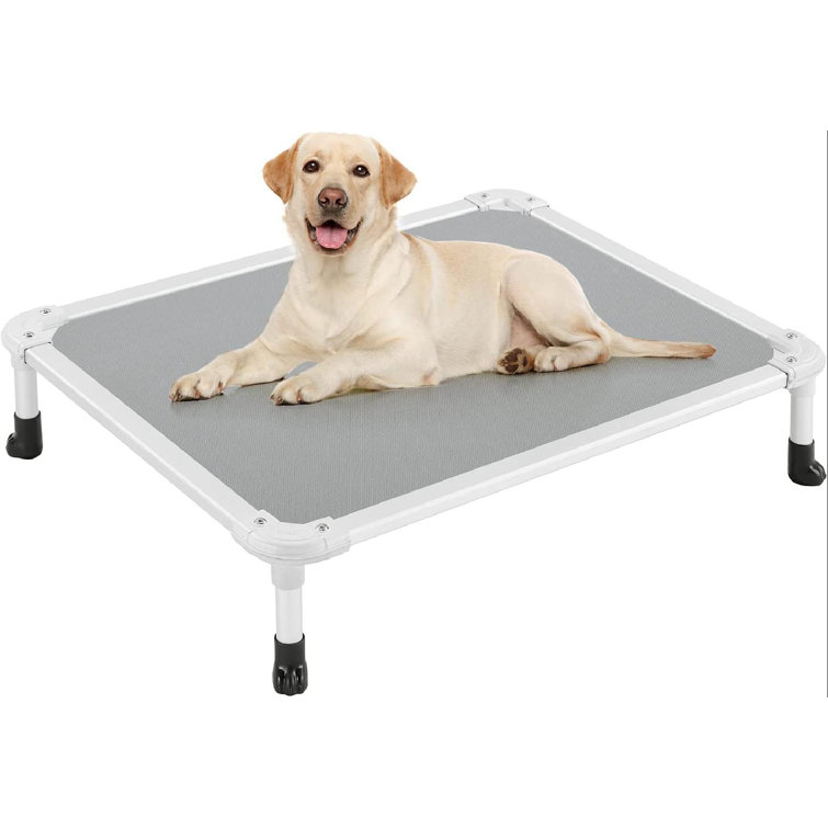 Tucker Murphy Pet™ Chew Proof Elevated Dog Bed Cooling Raised Pet Cot